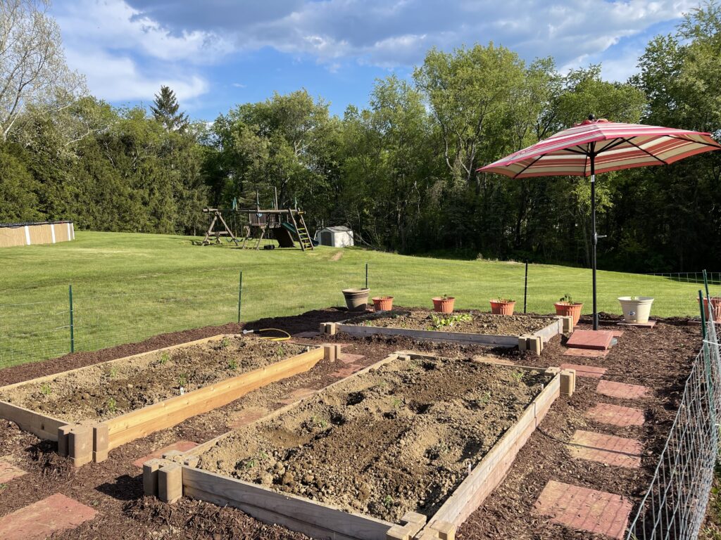 Three raised garden beds made from cedar boards and corner blocks filled with soil and plants. 