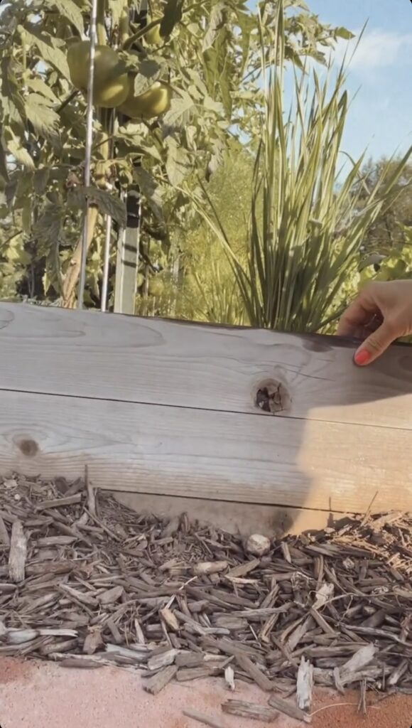 Raised garden bed up close. Three cedar boards stacked to hold in soil.